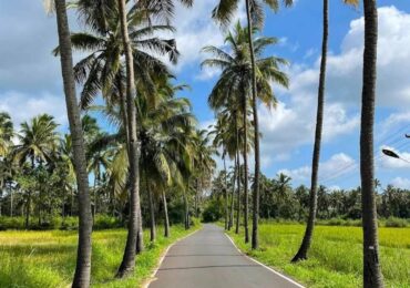 A Drive Through The Intact Beauty Of Carmona – Salcete- Goa